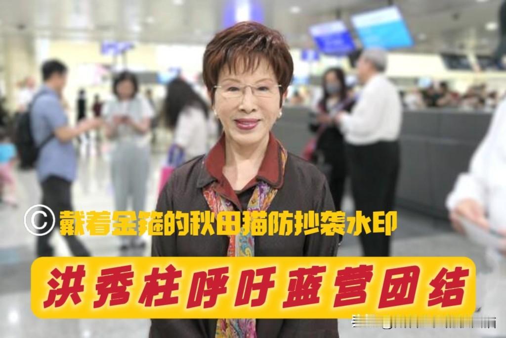 洪秀柱再次呼吁团结！前主席喊话：冲着党主席来的事，少干！明确否定“选战一元指”