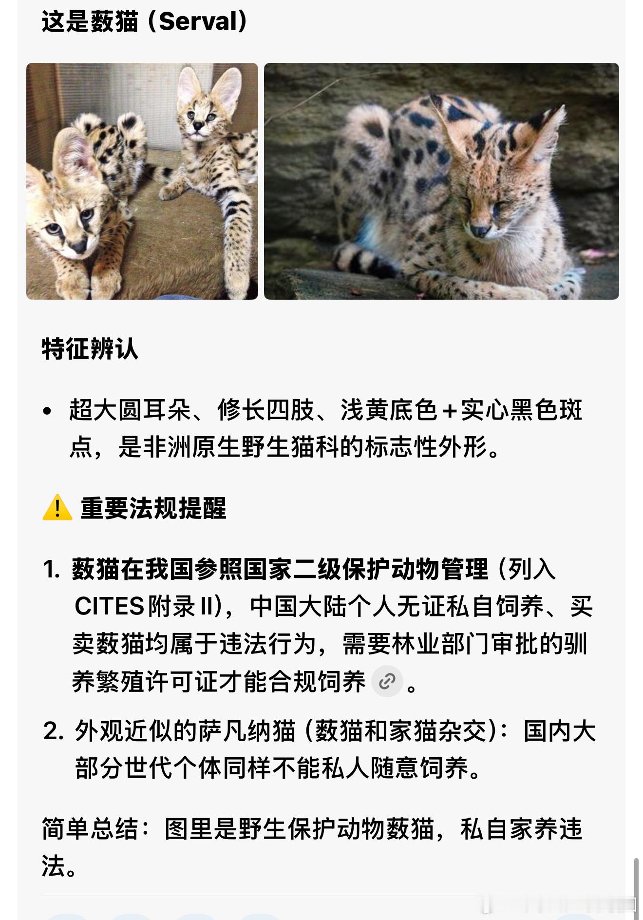 乐子组爆料说窦靖童养过薮猫，这种猫属于野生保护动物，私自家养是weu法的，而且这