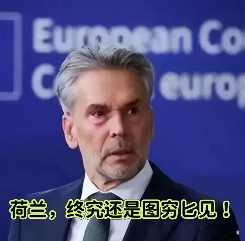 终究还是图穷匕见了！荷兰人这回不演了，直接掀了桌子，DUV光刻机这碗饭，不给