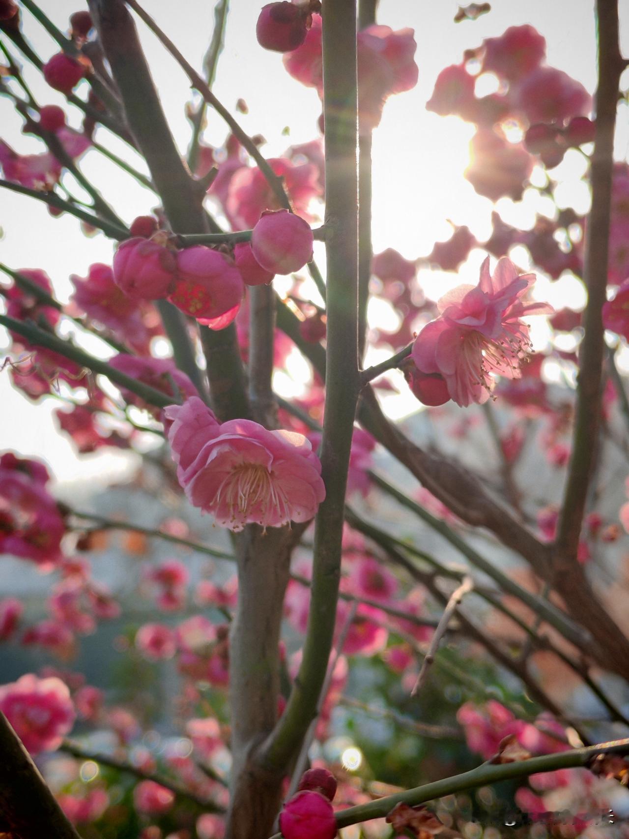 去年身边发生的一件事，让我彻底改变了活法。一位还没到退休年龄的熟人，突然生