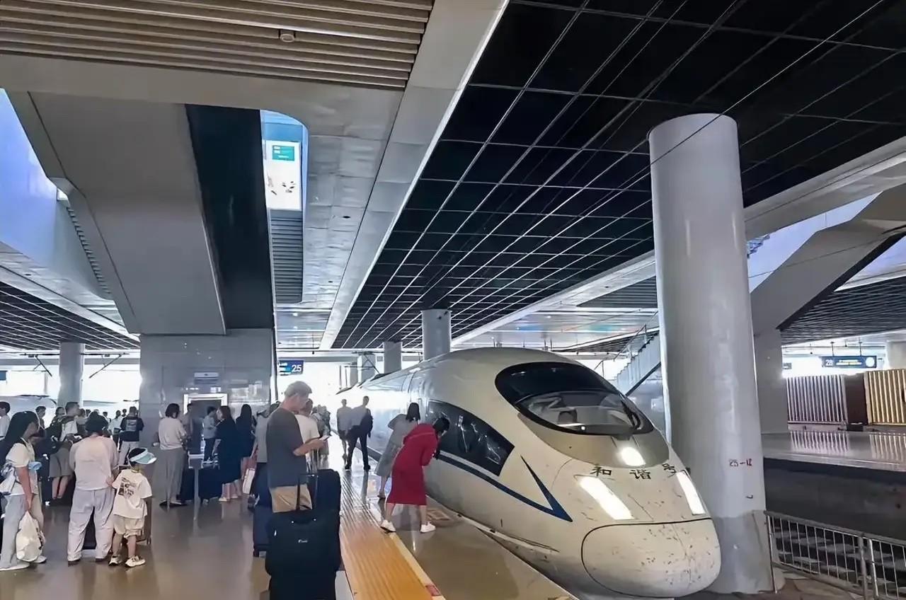 7月5日杭州东站乘客卧轨事件，最倒霉的不是卧轨的乘客，也不是站台上或列车里的乘