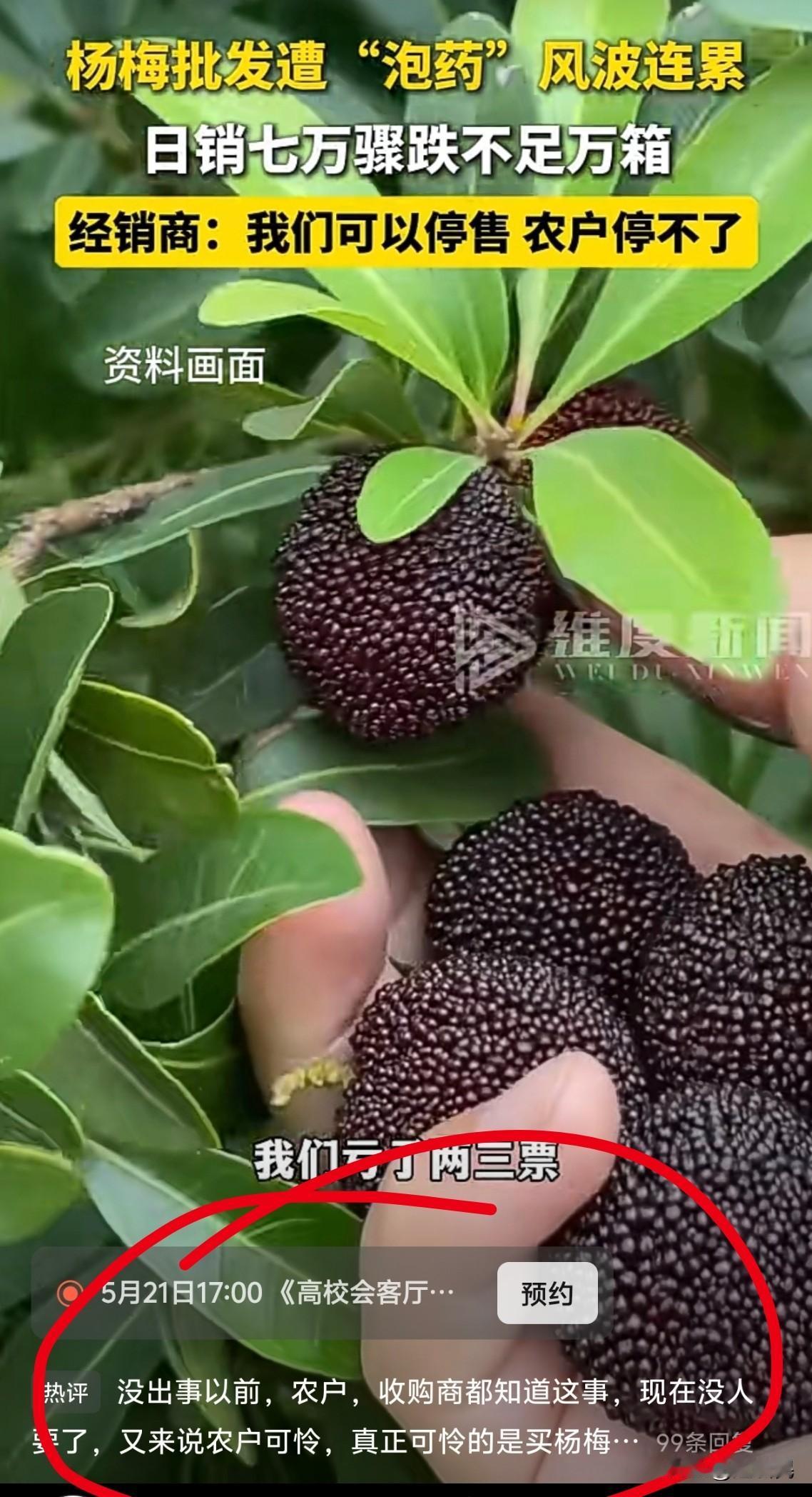 关于杨梅事件，本来我是还能理性看待的。但直到我看到这条评论——“没出事以