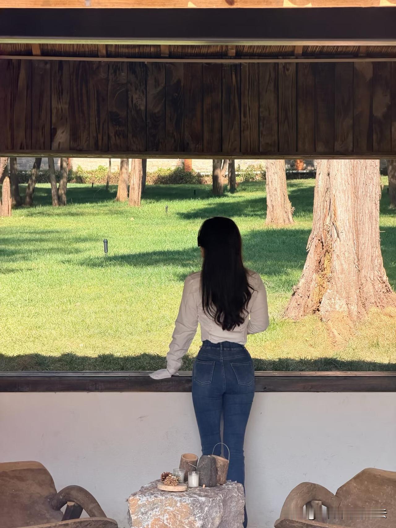 阳光甚好微风不燥