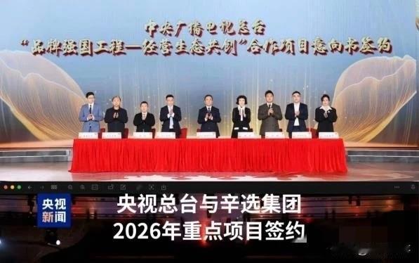 小胖谈辛选与央视合作！小胖谈辛选和央视合作：这就相