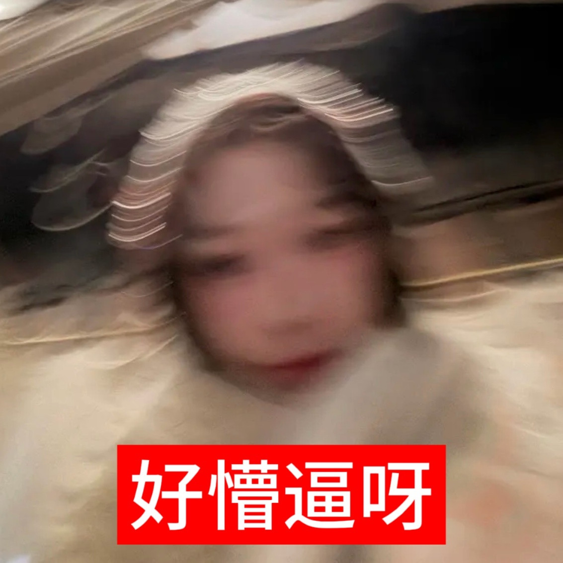 论一张图可以做多少个表情包​​​