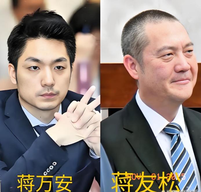 很多人聊起蒋家第四代，张口就提台北市长蒋万安，觉得他顶着蒋家的名头活跃在政坛，就