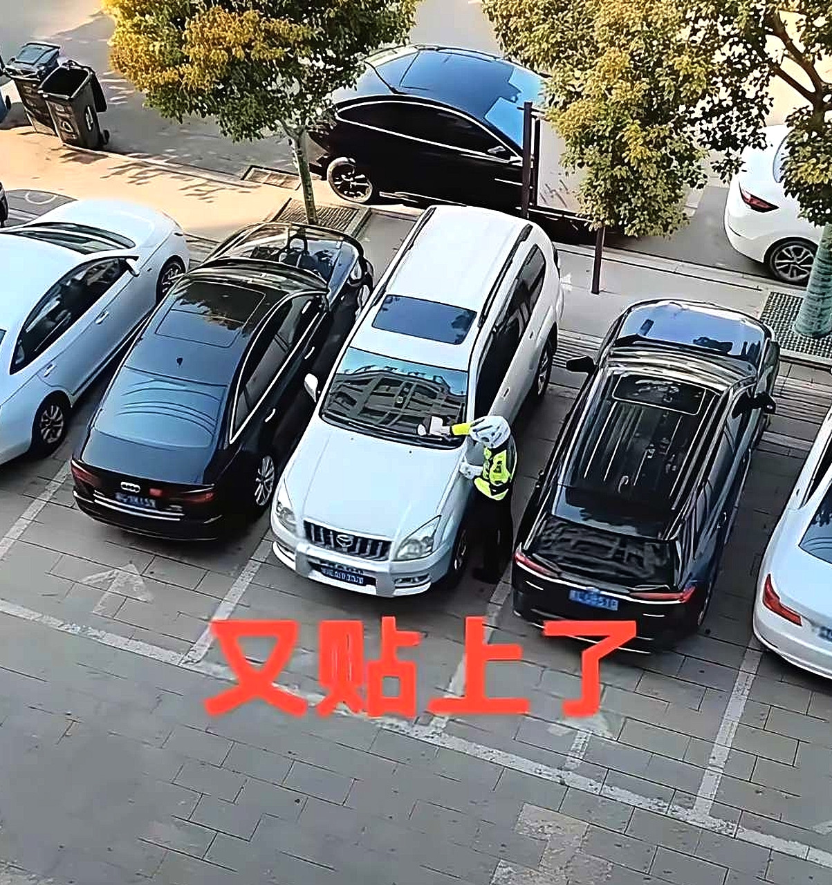 网友：这辆车停的有什么问题吗？