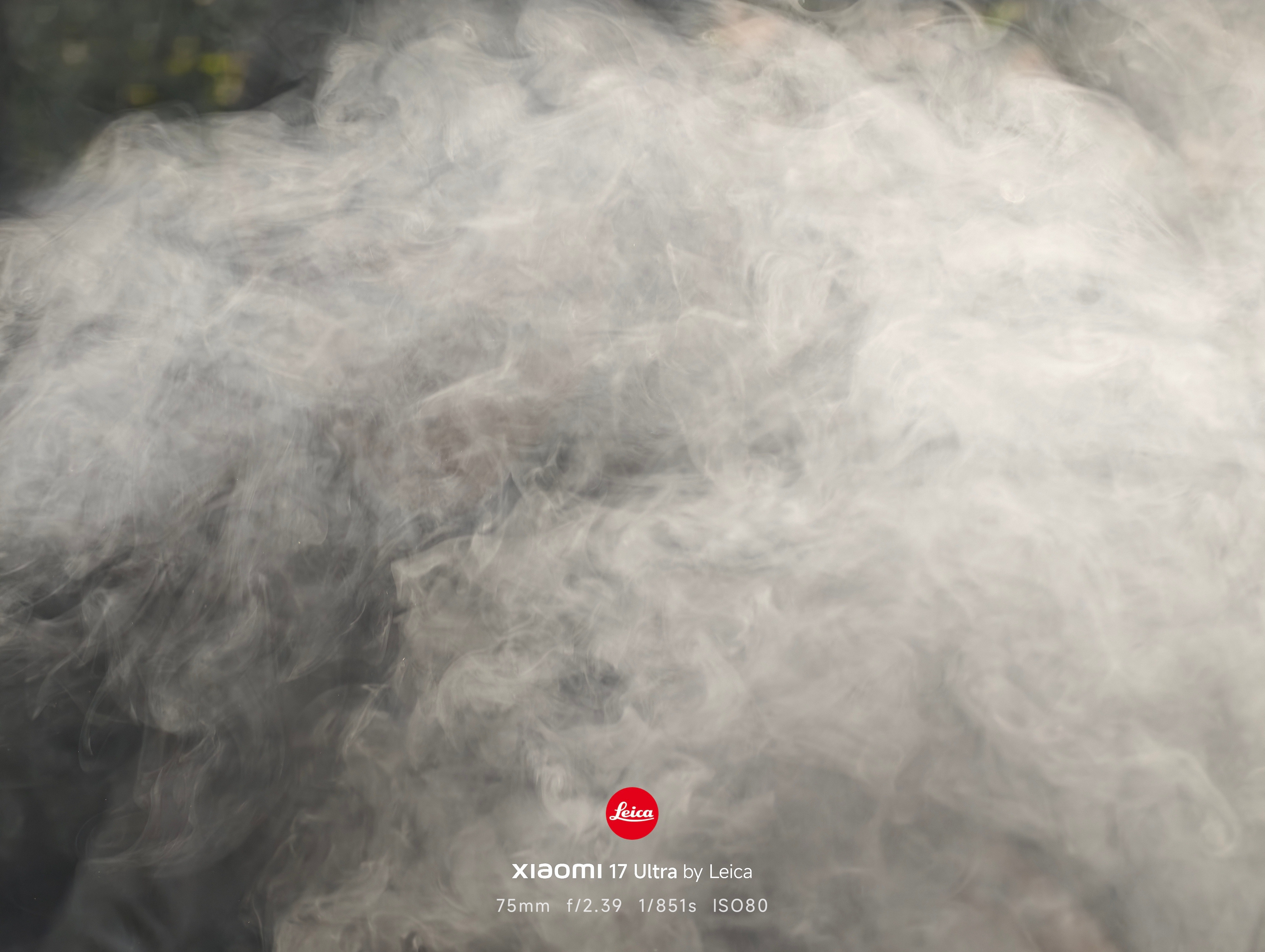 户外小烧烤安排了你们吃了没？