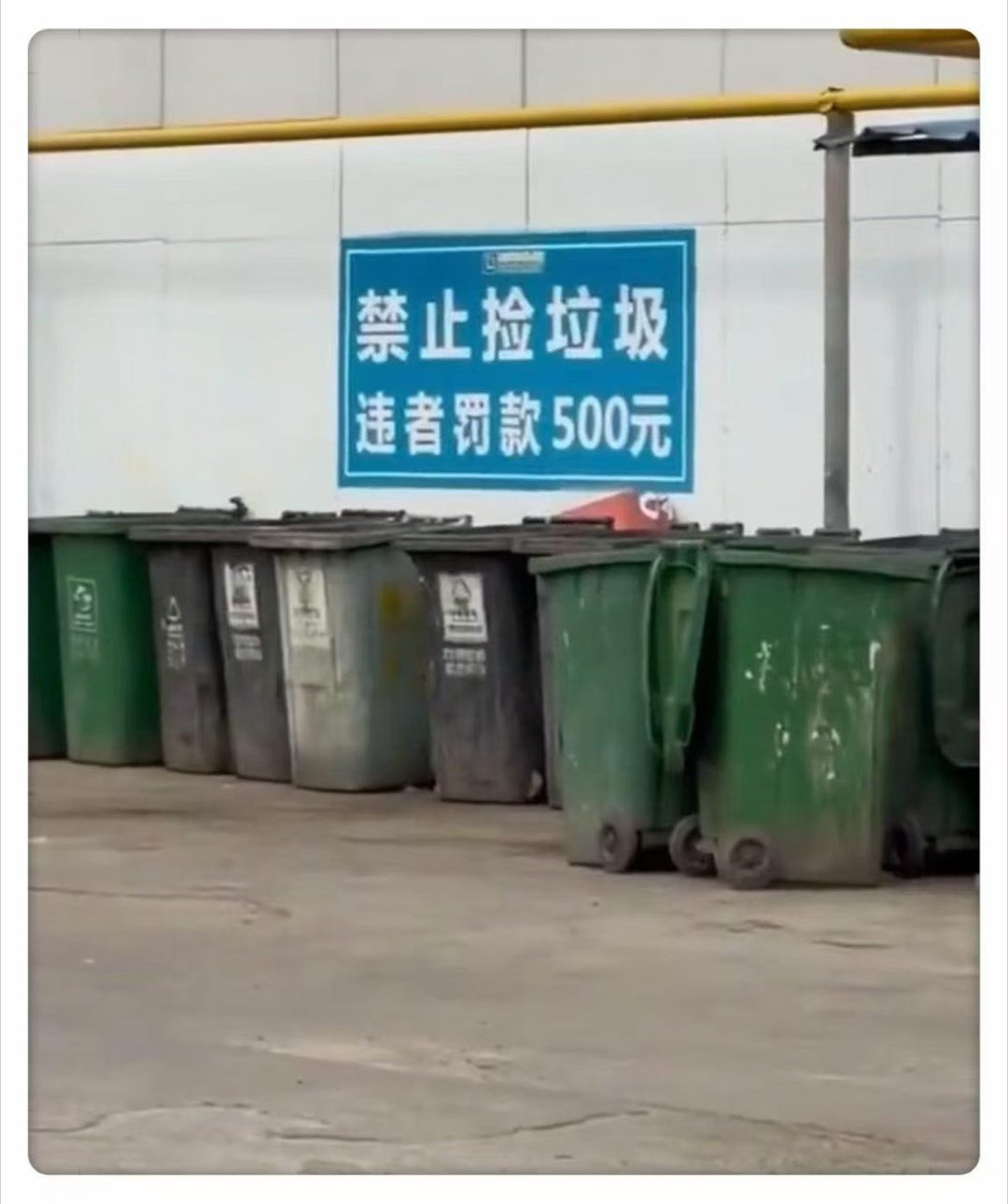 我刚想捡垃圾过日子呢​​​