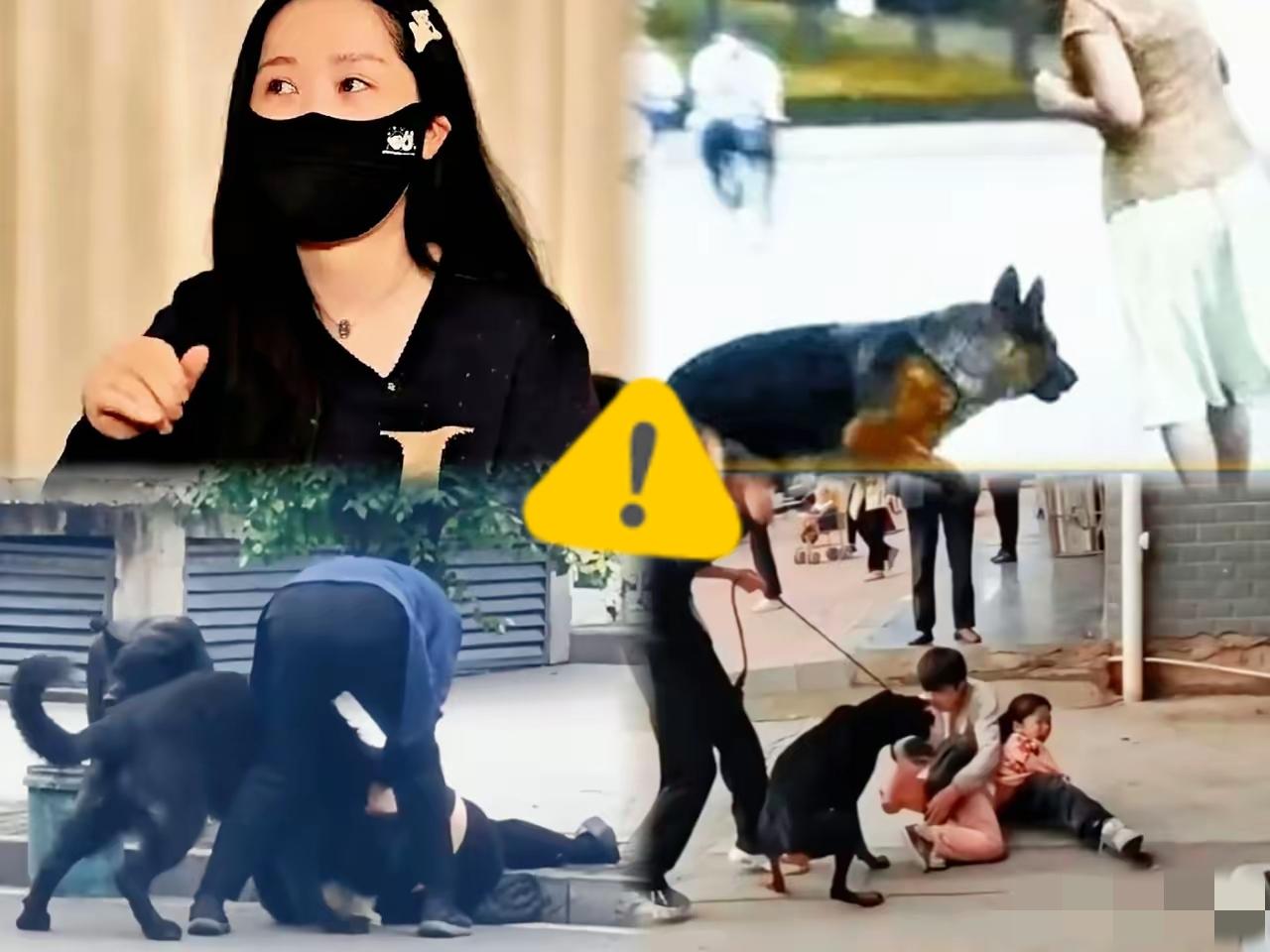 这事越品越不对劲！毒狗要担刑责，那些纵容狗伤人的主人，凭啥只轻飘飘赔点钱？