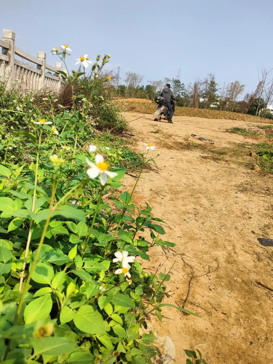 农村宅基地根本就不用担心城里人退休回来住，农村的房子都是建来给邻居看的。我们