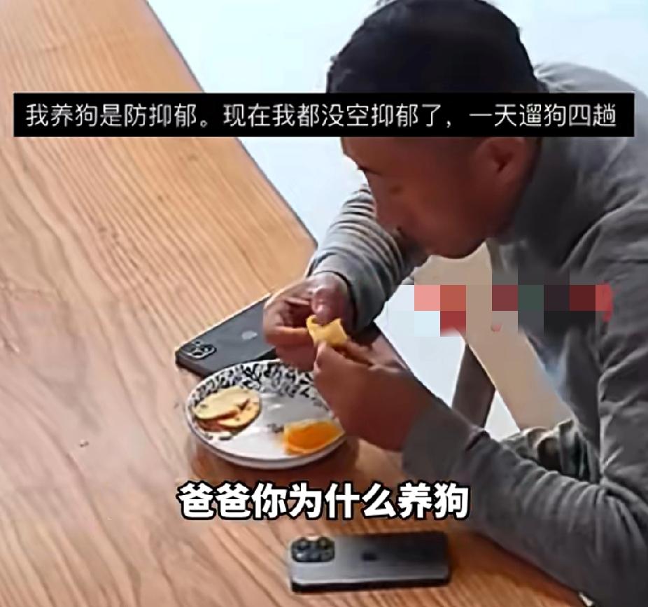 扎心了！12月15日，江苏一萌娃问爸爸为什么养狗，爸爸说：“还是别让你知道了，免