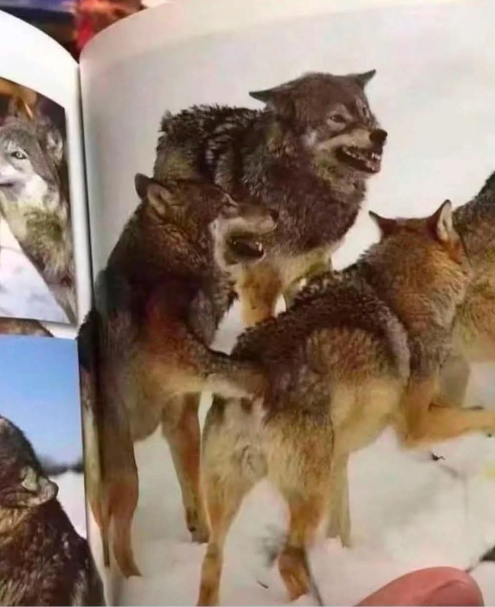 你是不是第一眼就看错了？