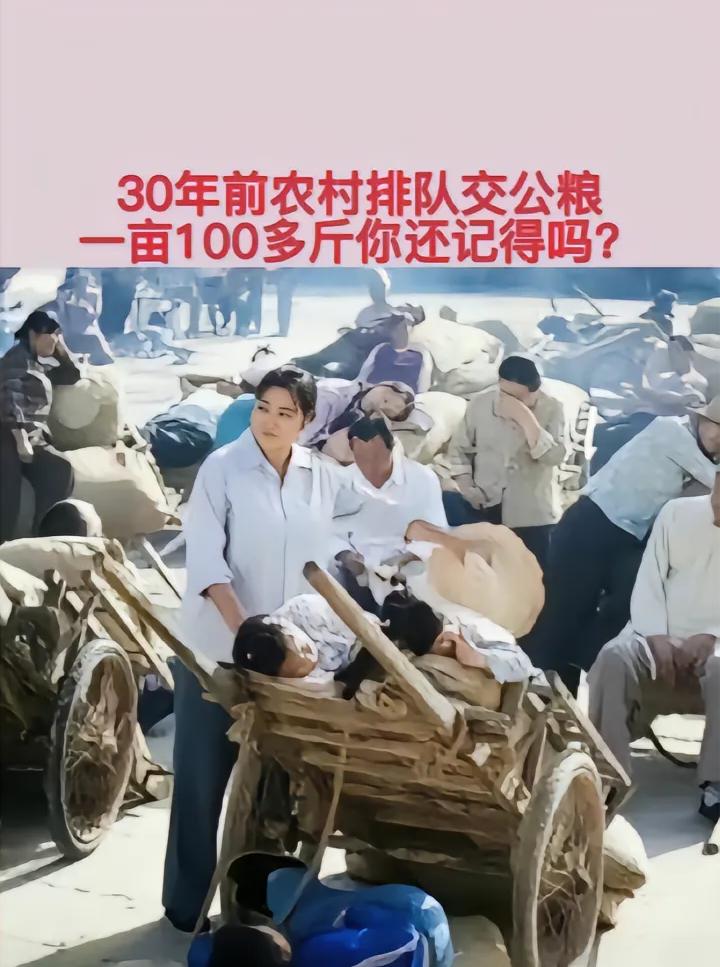 ，看看农民一一