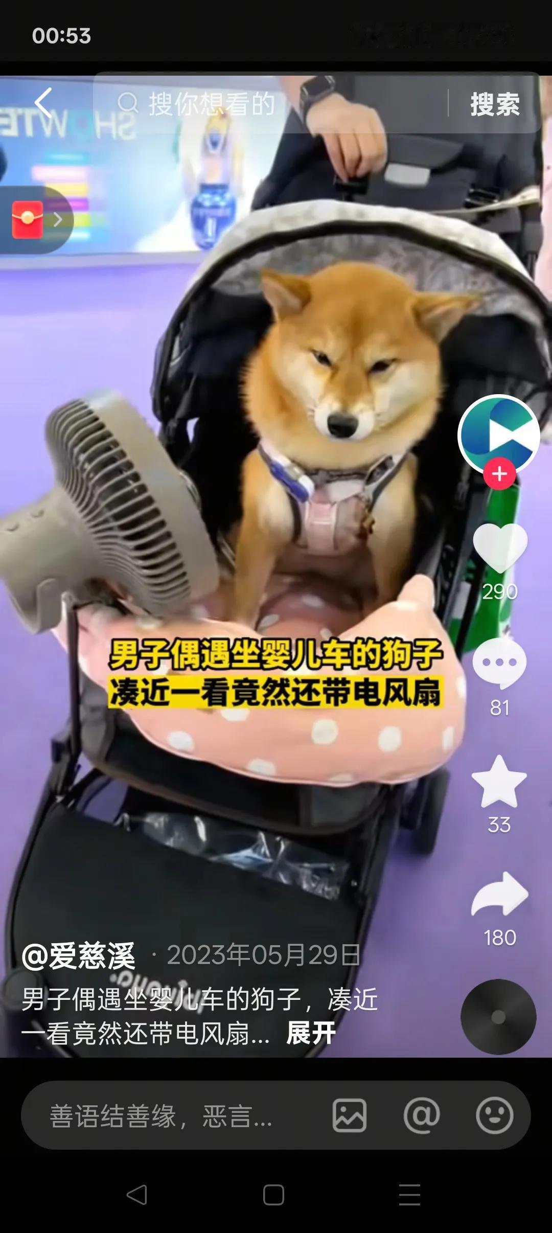 极端爱狗人士说：狗比孩子可爱，养孩子不如养条狗。说这话的人，一定是不孝顺父母