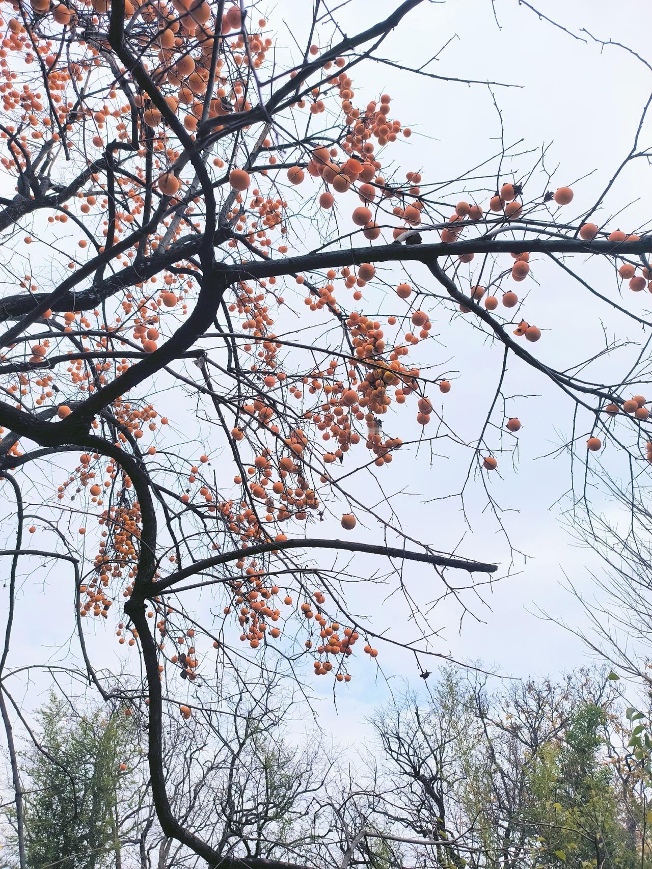 让一个成年人承认自己的错误是非常困难的。有一位校长讲到了他处理投诉的经过。