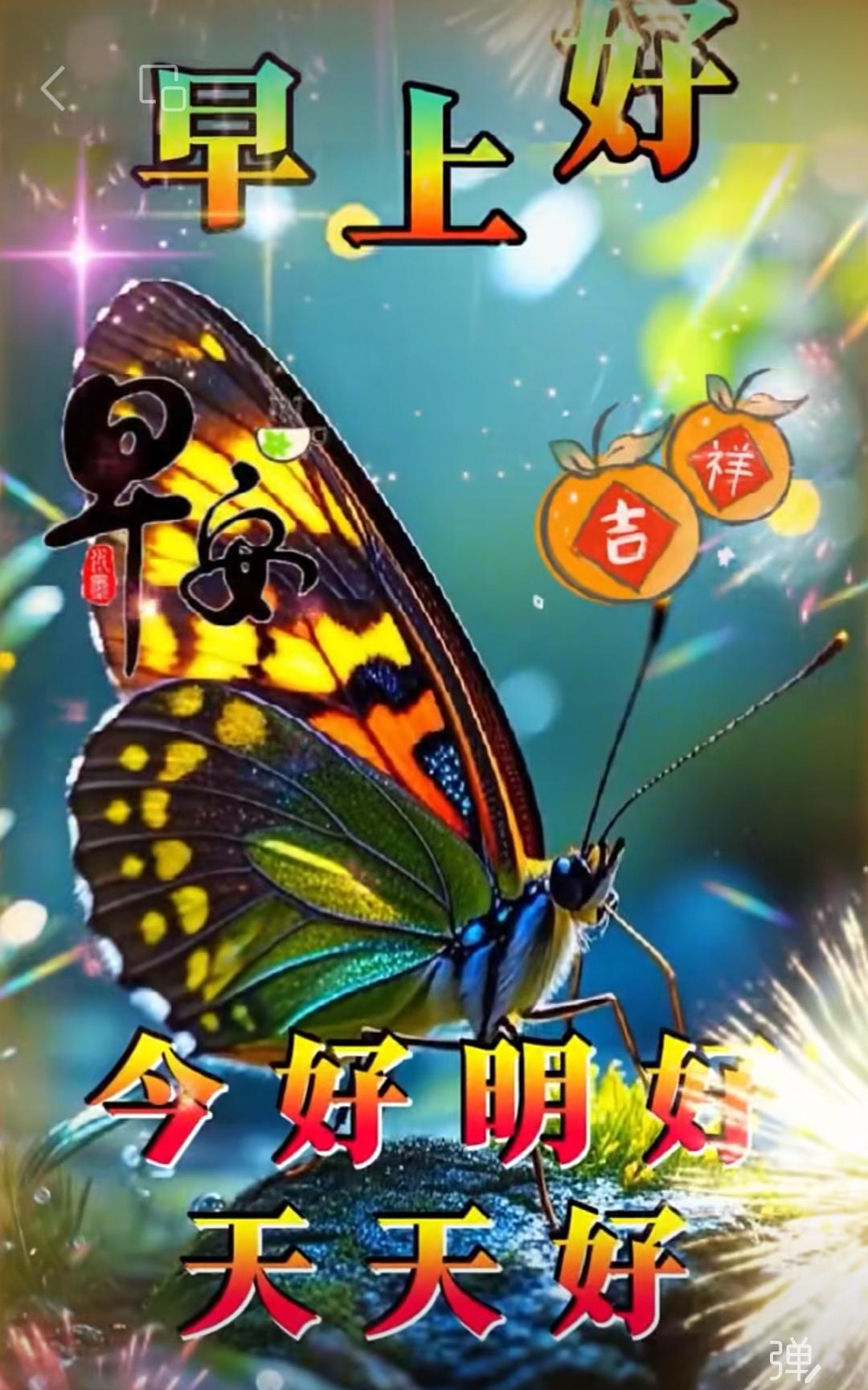 人生之寶快樂就好，回憶昨天也曾自豪，再看今朝依然美好，展望明天夕陽更驕，