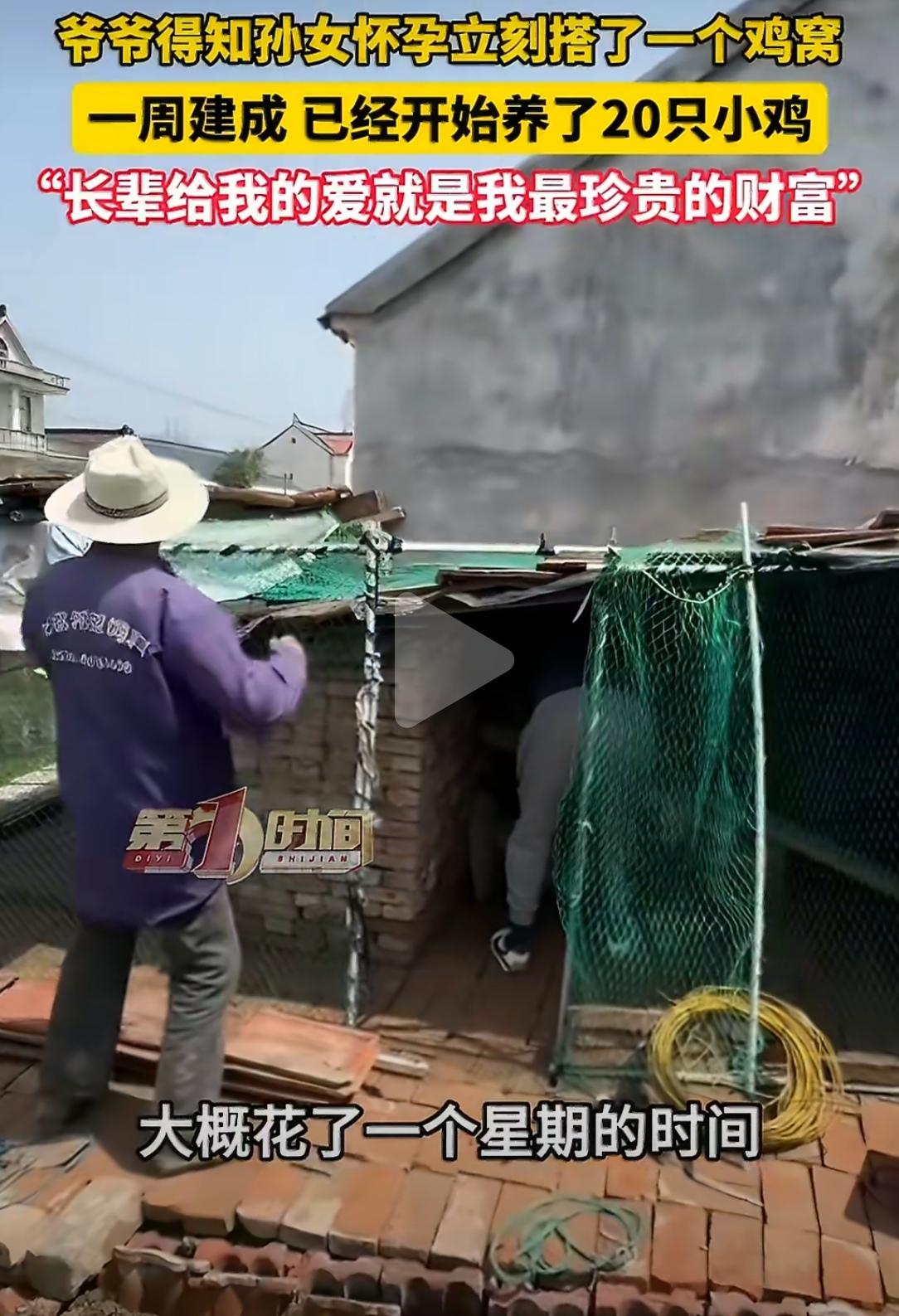 江苏南通的孙女告诉爷爷奶奶自己怀孕了，第二天，爷爷就运来一堆红砖，开始垒鸡窝。一