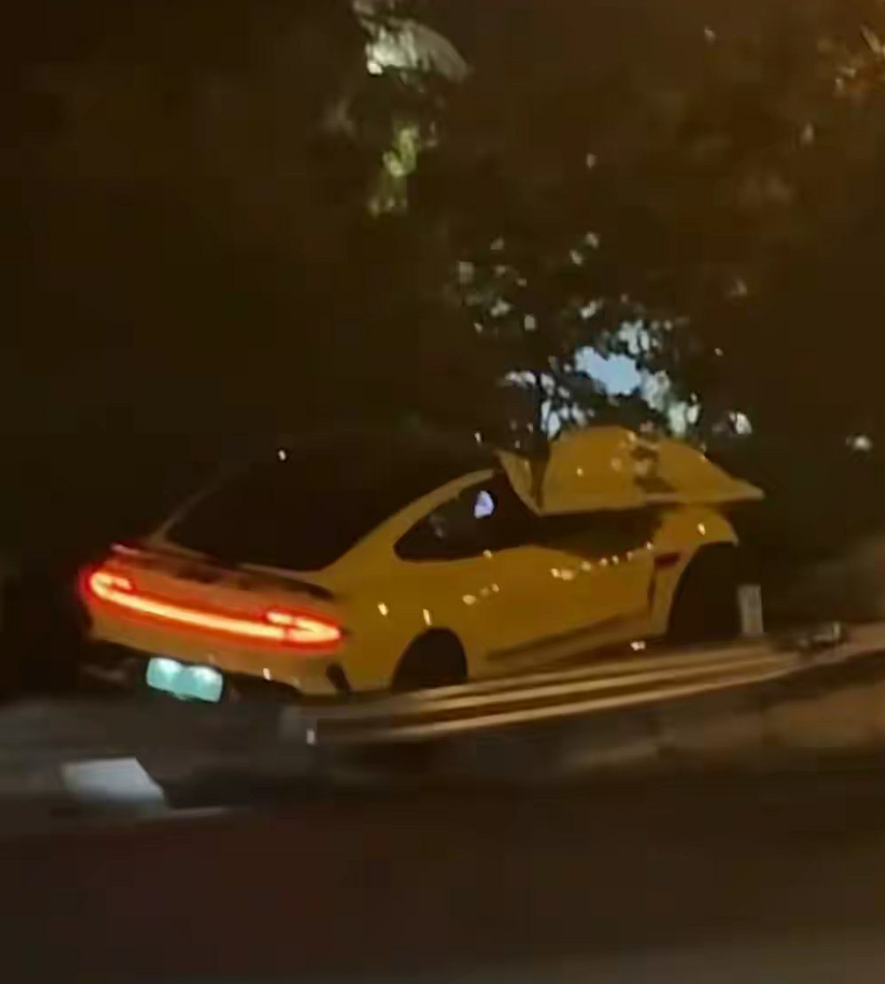 刚刷到的，怕隔夜不新鲜，还是先发出来吧！