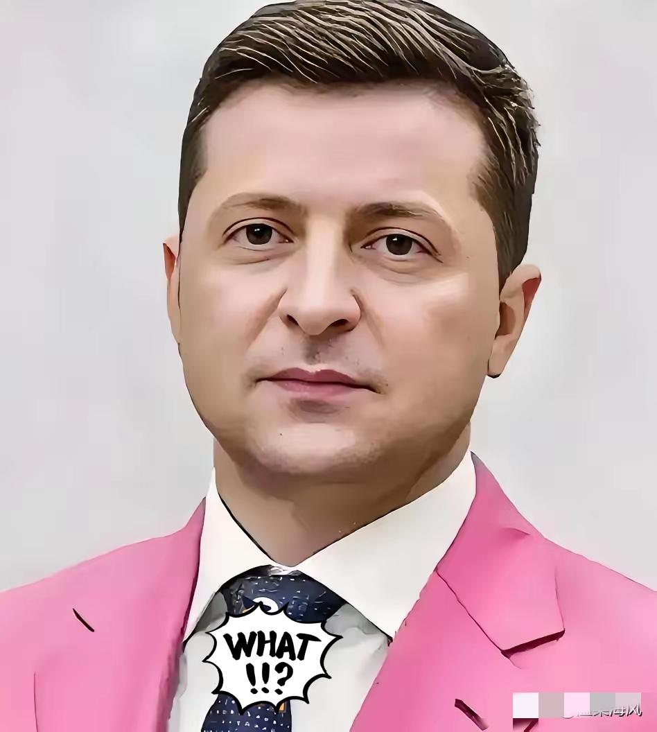 泽连斯基松口了！乌克兰总统泽连斯基就俄乌停火的事正式发声，给了外界一个明明白白