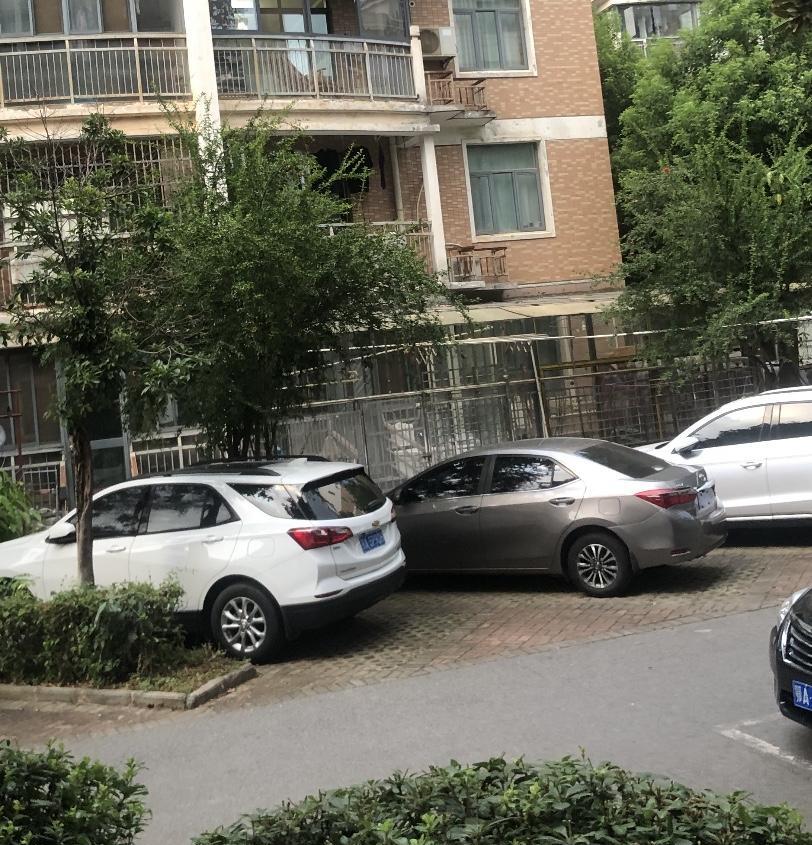 前几天，小区里有个人的小狗没拴绳，跑出来，不知被谁倒车轧死了，狗主人哭的撕心裂肺