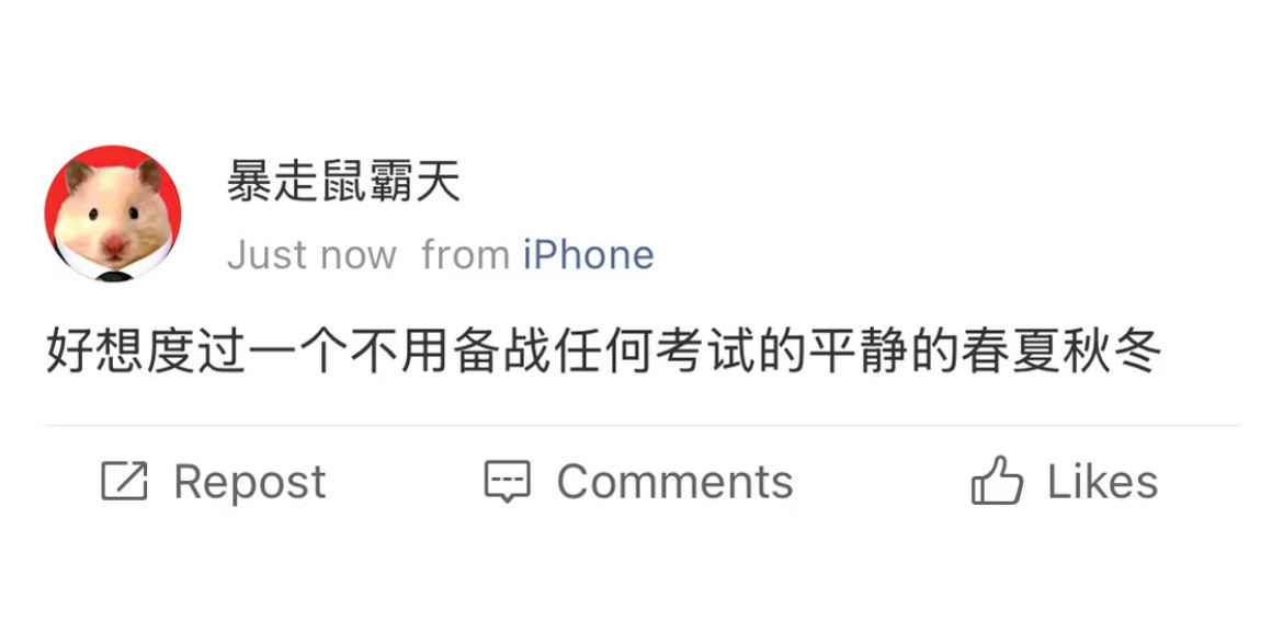 好想度过一个不用备战任何考试的平静的春夏秋冬