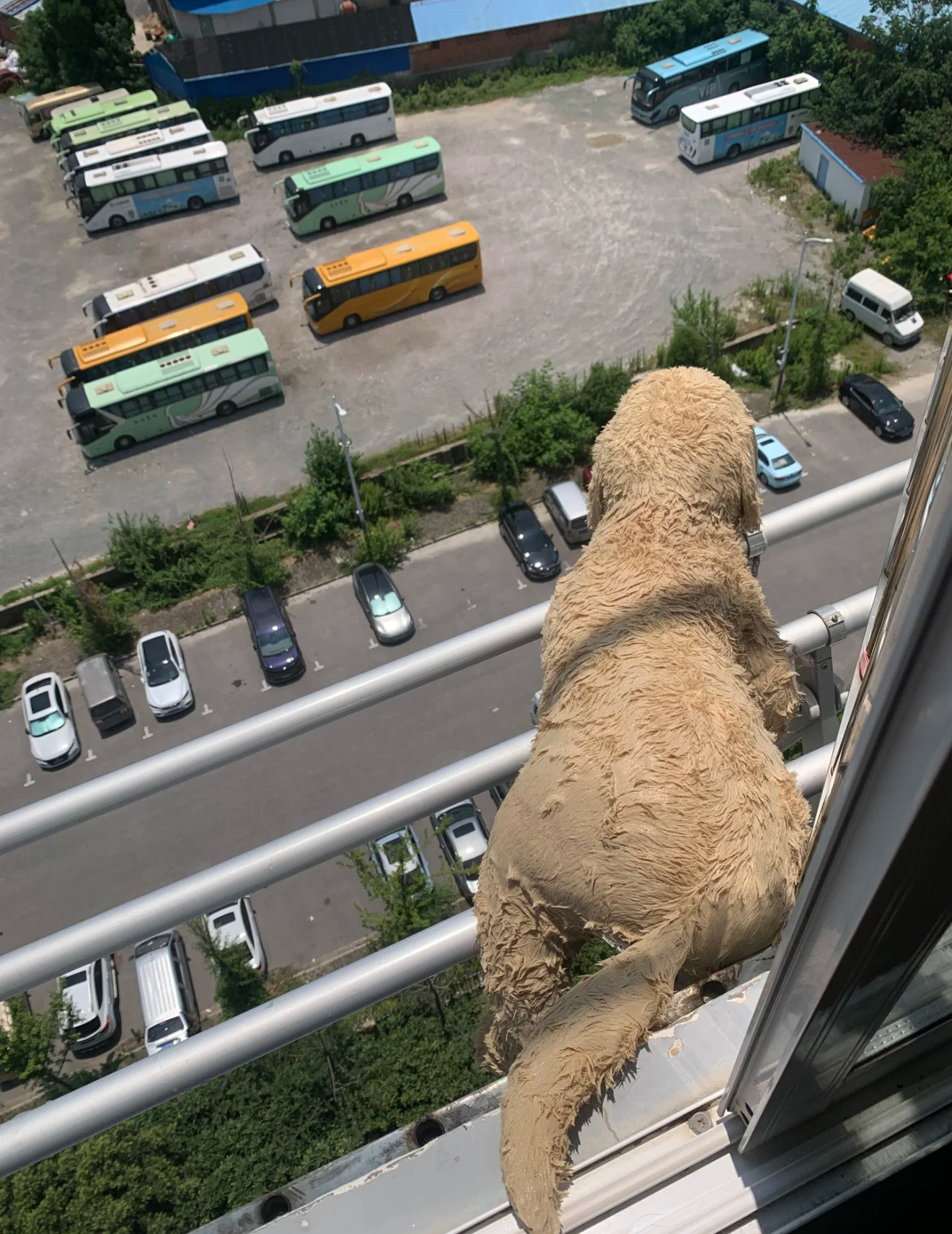 怎么救？？？挺急的​​​