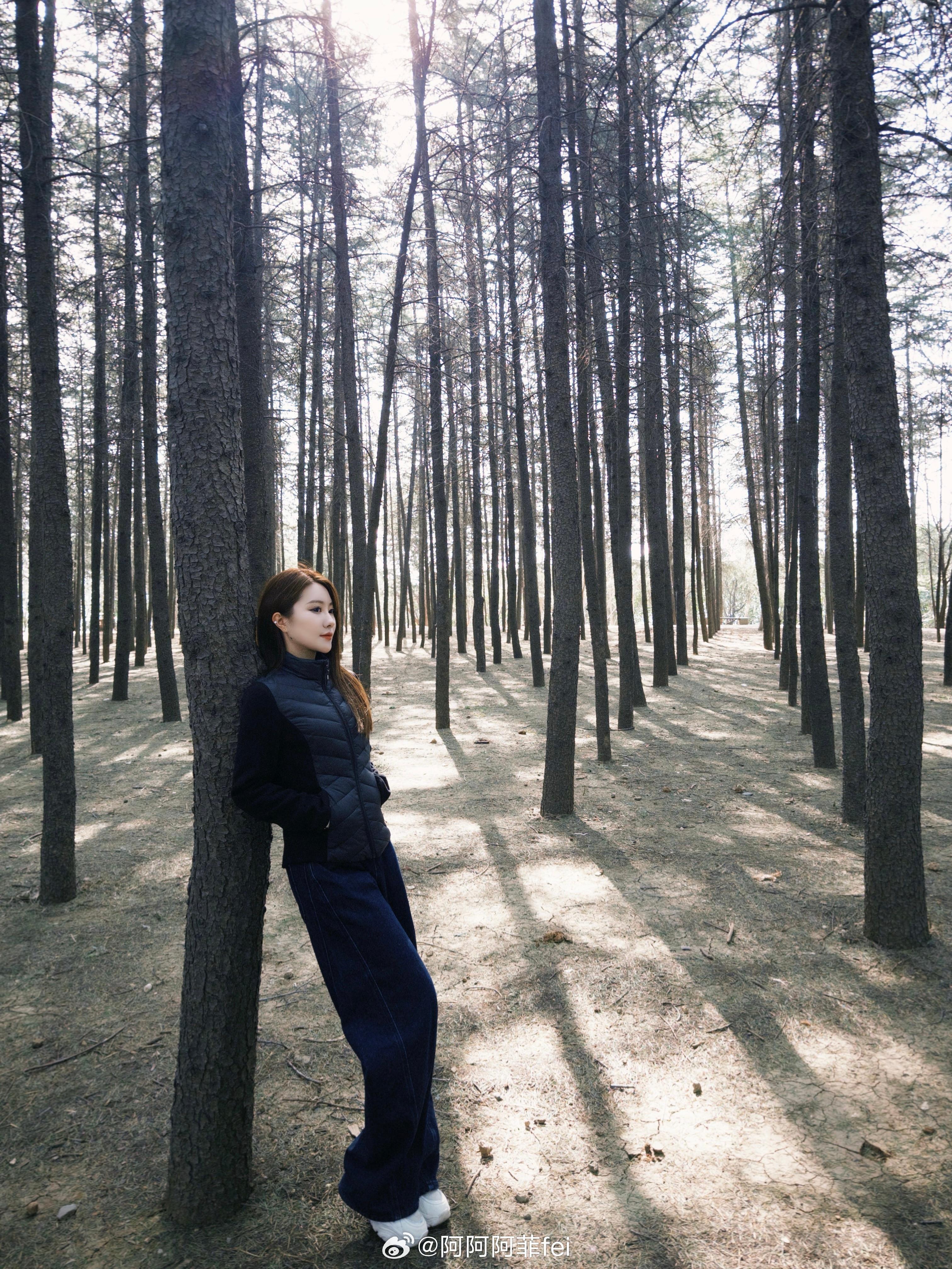 吸氧洛阳·周山森林公园