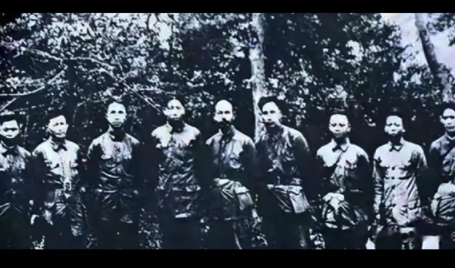 十四年孤守，一纸归队：深山“野人”竟是红军忠魂1949年12月，四川宜宾深