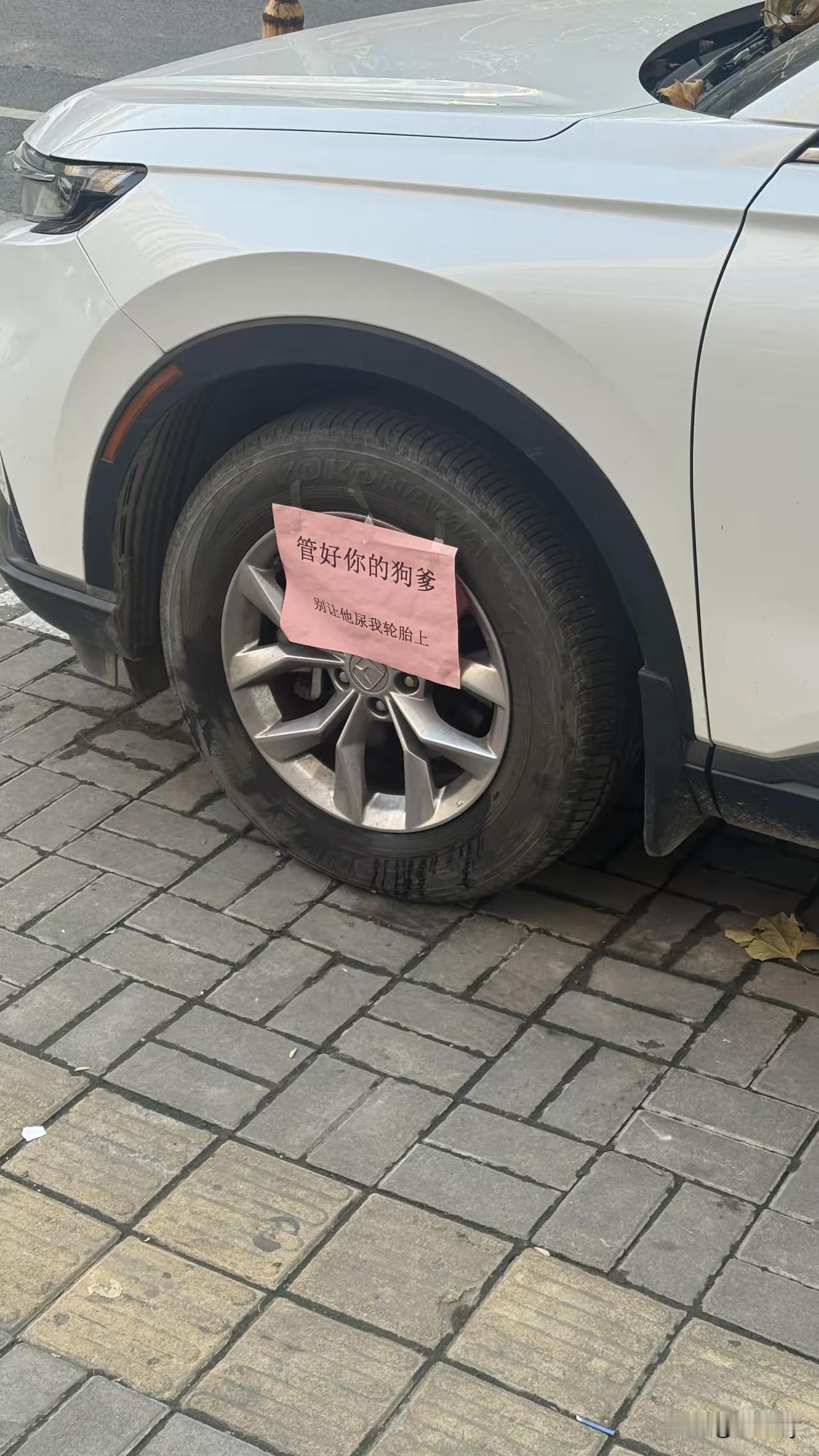 今天看到超级搞笑的提示