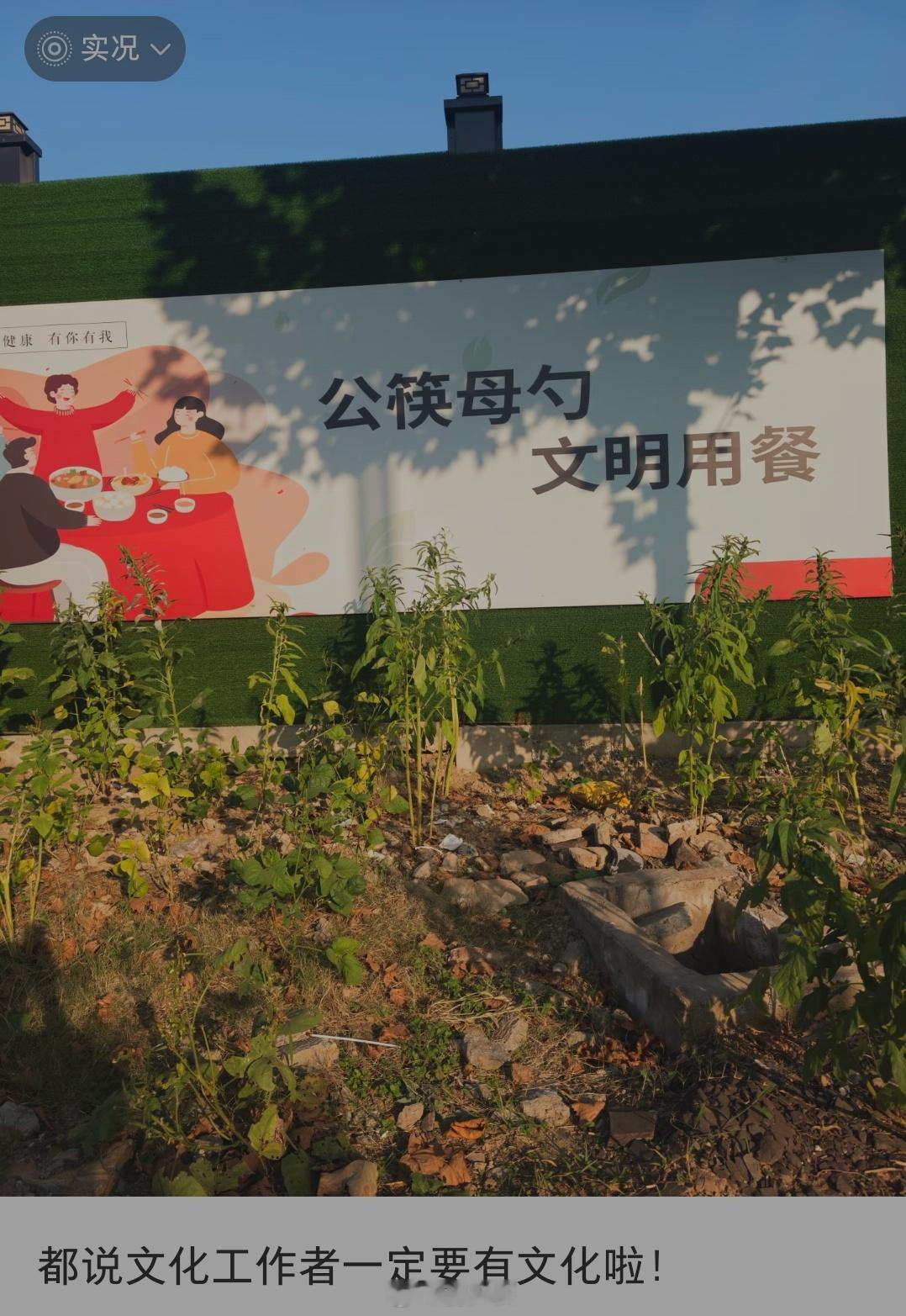 还真有“公筷母勺”这个词​​​