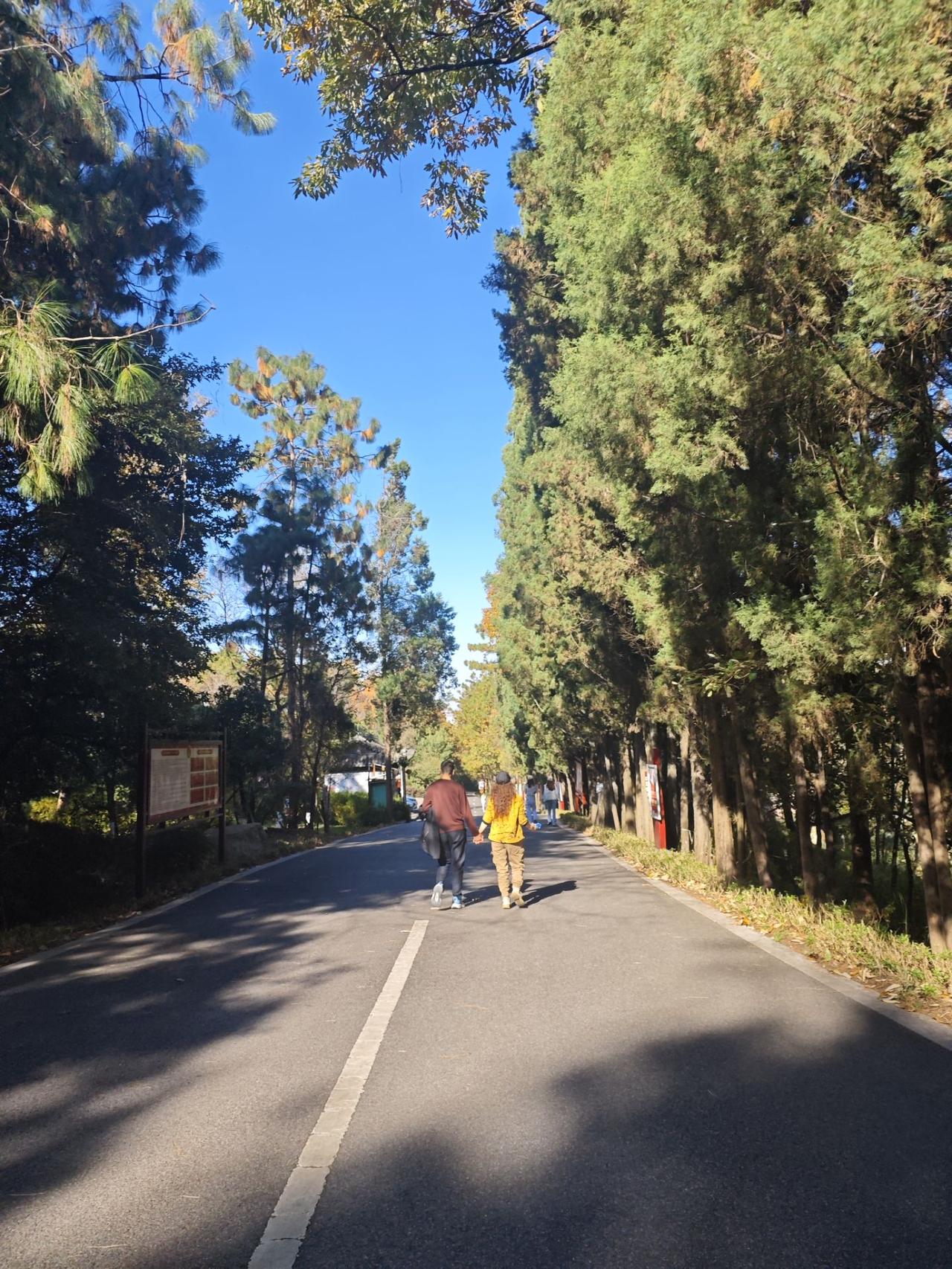 公园爬山一角冬日风景还是很美。