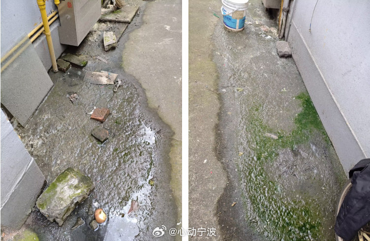 宁波两小区排污管道老化致反复堵塞外溢近日，宁波海曙柳汀新村、鄞州太古城两个老小