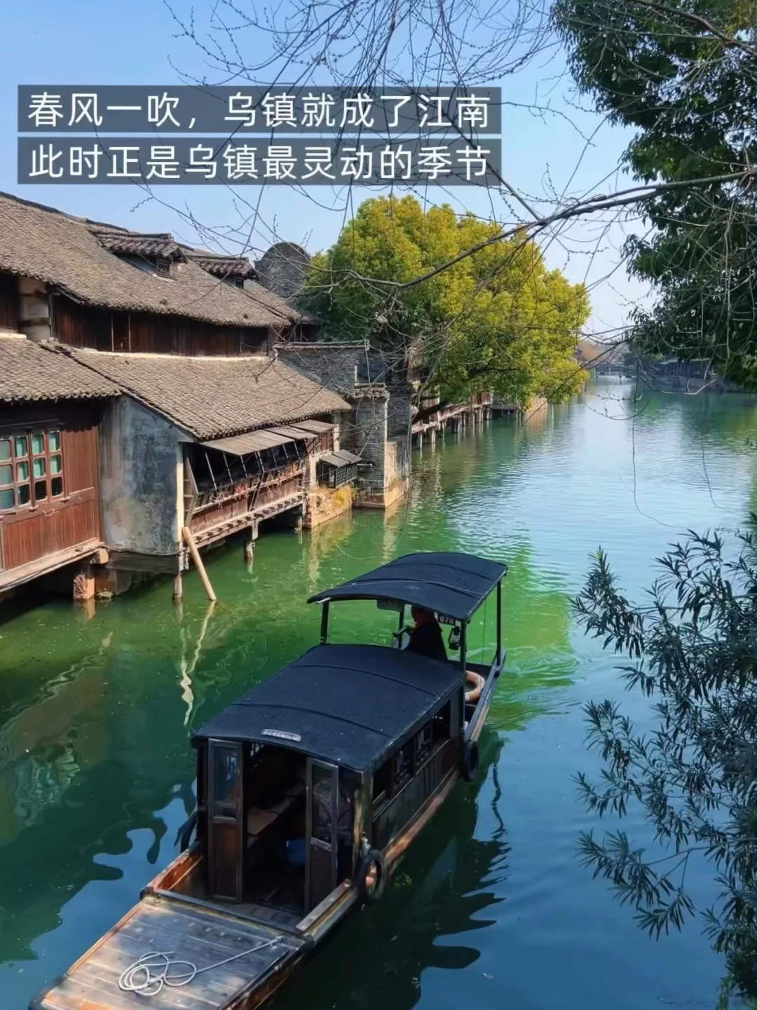 刚从乌镇回来，说点真心话……