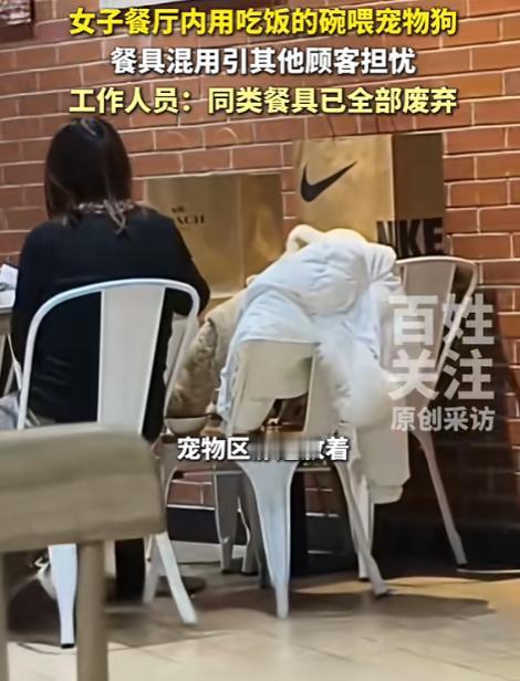 “顾客天塌了！”12月14日，北京，一女子吃饭时，发现邻桌的客人正用盘子给狗喂食