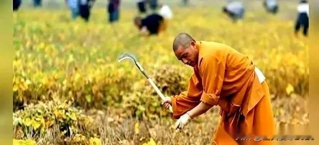 少林寺新方丈释印乐，上任才五个月，寺里的账上就捅出了一个八百多万的窟窿。香客