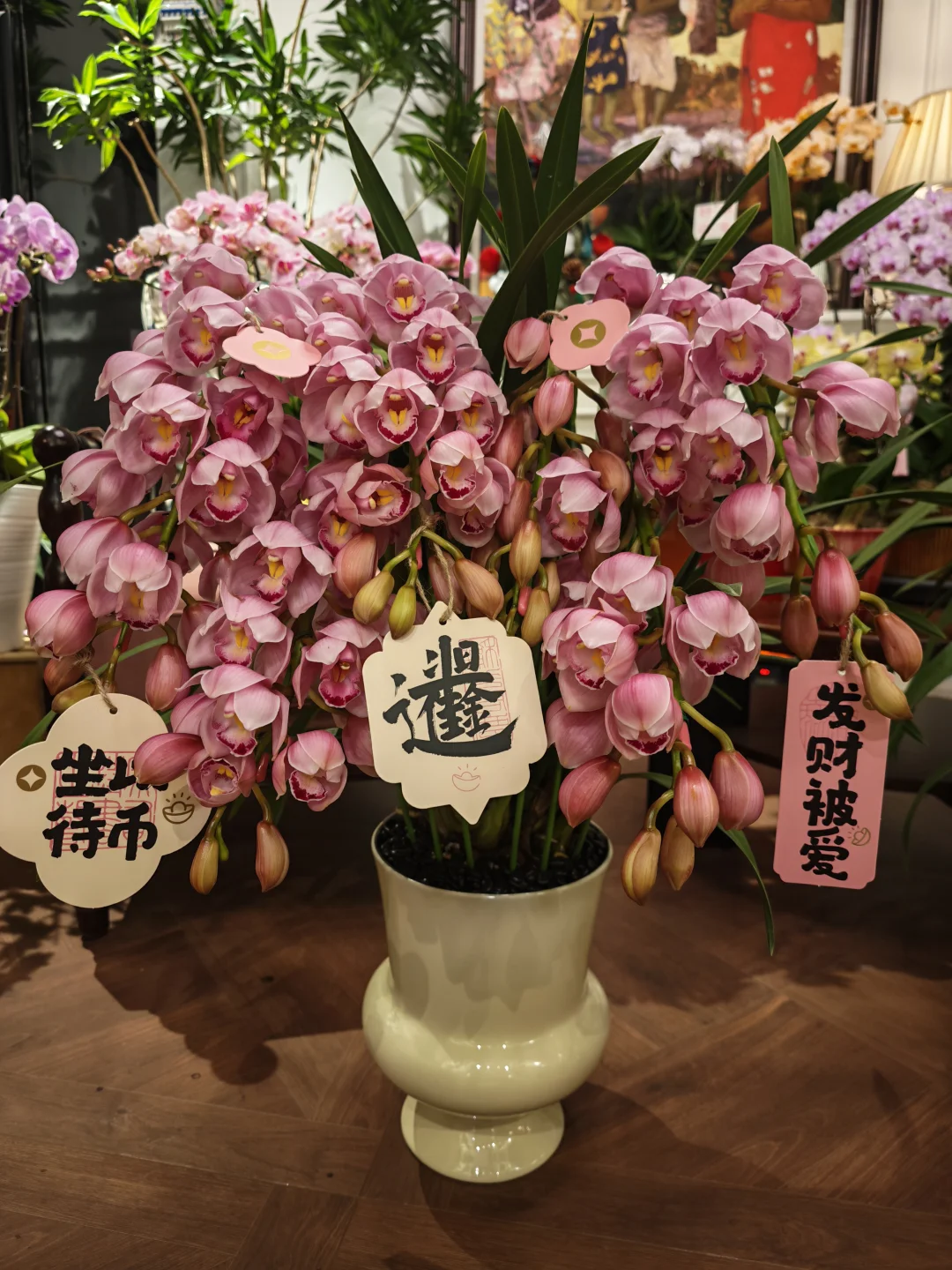 荣华富贵的大花蕙兰