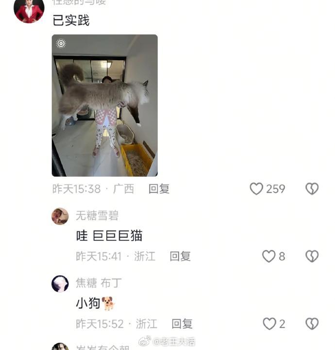 当用钓鱼佬的拍照方式拍猫咪