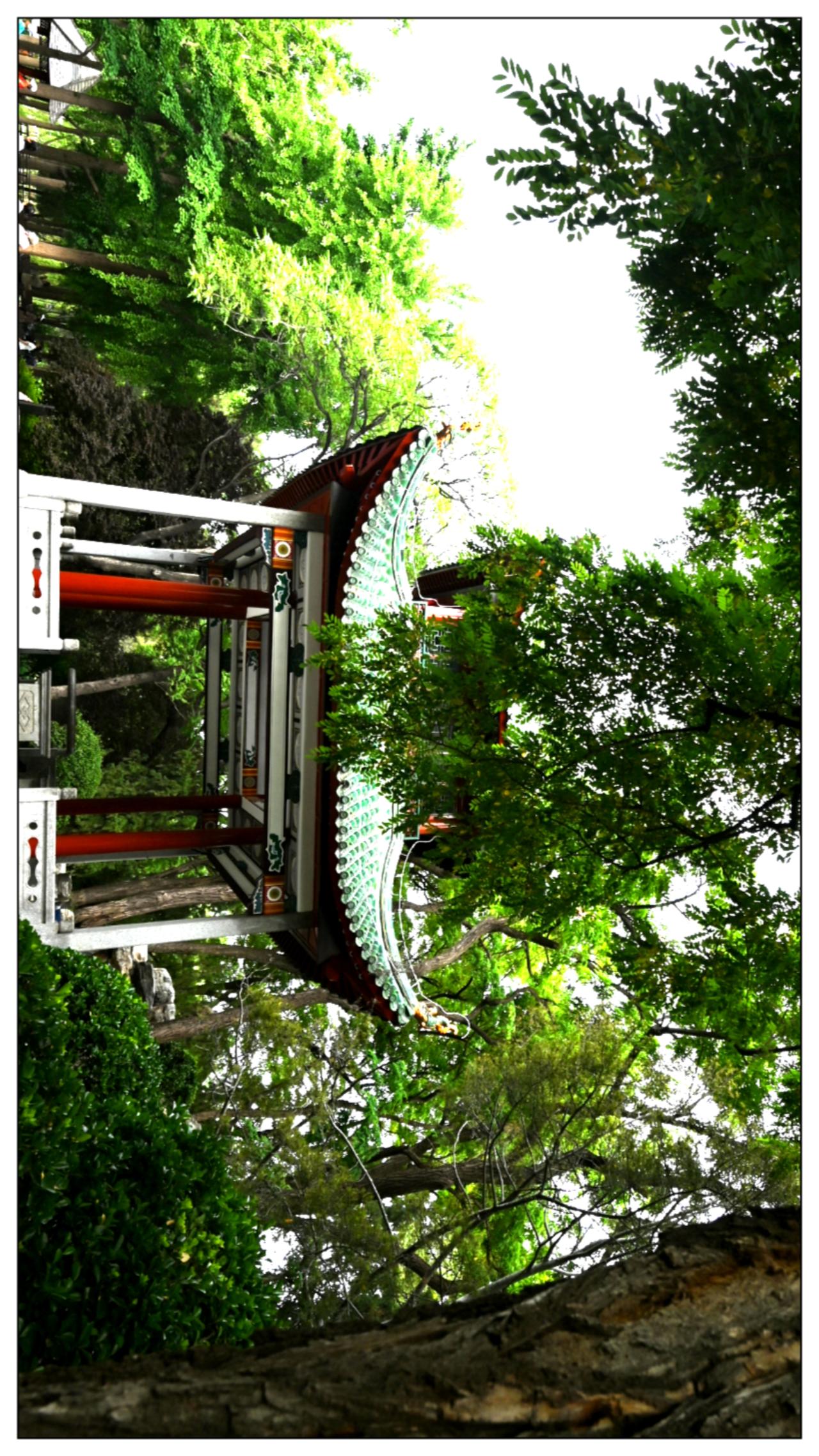 初夏的陶然亭公园，扬柳漂漂，绿绿葱葱，好一派绿色美景啊，《昨天上午拍照的》