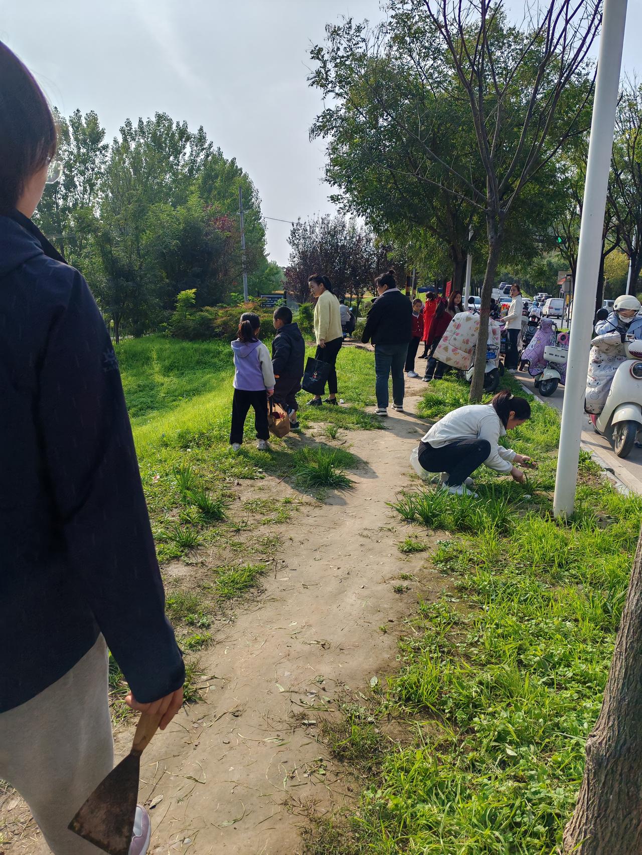西安北郊人撒欢的好地方10月26日，恰好周末，今天阳光明媚，天气暖融融的，当然