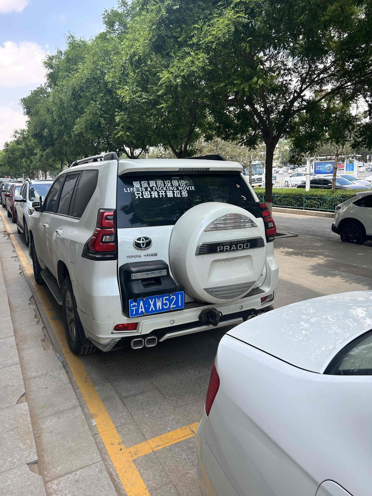 爱你真的没法说，只因我开普拉多
