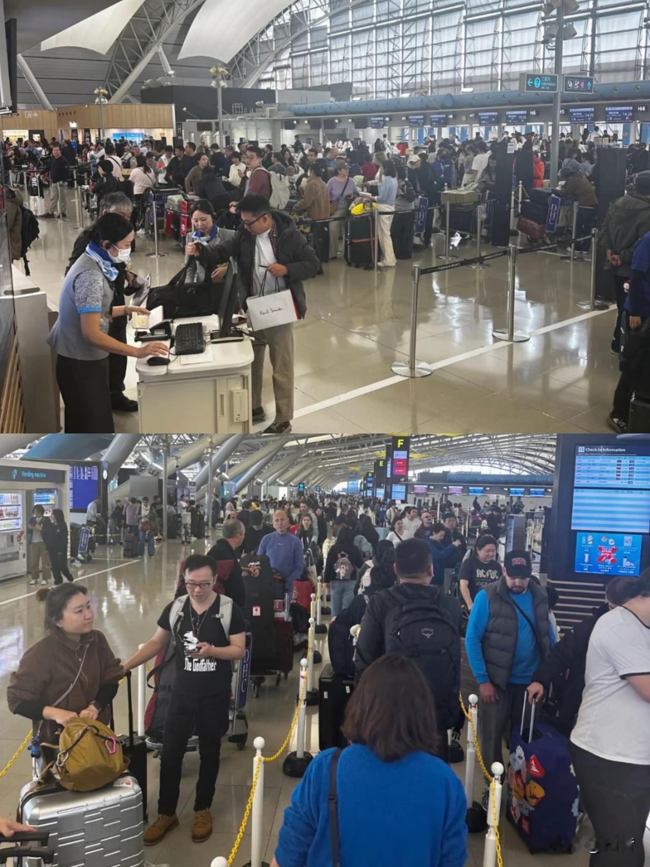 当初非要闹腾着去日本！现在终于知道回不来了吧！这就是去日本的代价和后果。