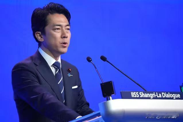 “表现完美，出色！”日本防长小泉进次郎，在香格里拉对话会上用流利的英语，把中国的