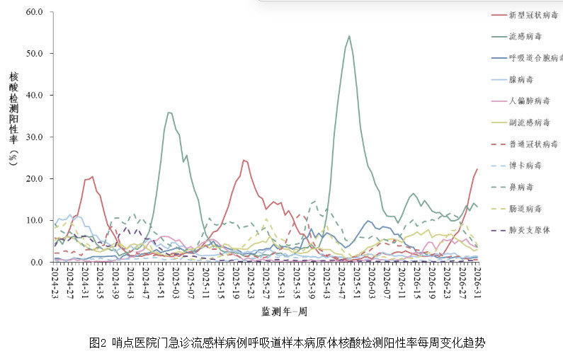 第31周报，冠冠拐点出现……导数拐点出现，增幅下降。感觉我身边的增幅似乎要更明显