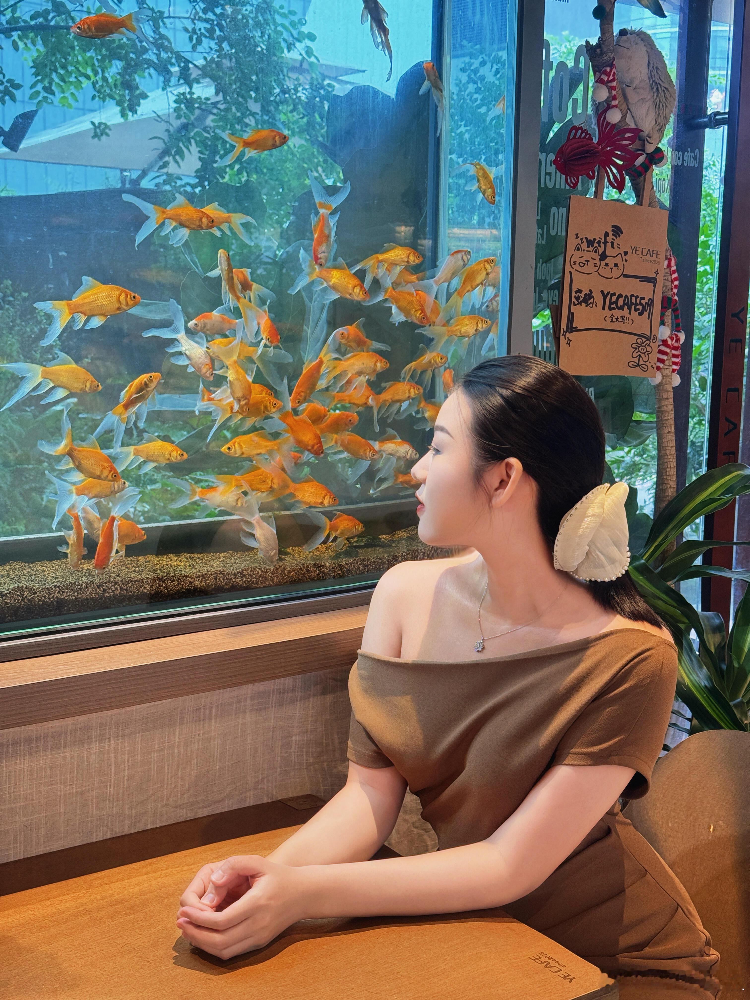 走停停走停停忽然遇见你