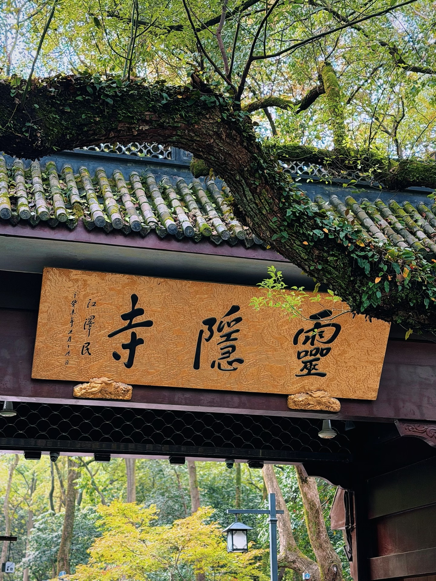 灵隐寺免票预约后38万人爽约放灵隐寺鸽子，不担心以后再去灵隐寺不灵吗