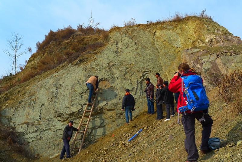 四川富顺县有俩村民，在1998年的时候，把开采出来的石块当成了垫脚石，这些石块表