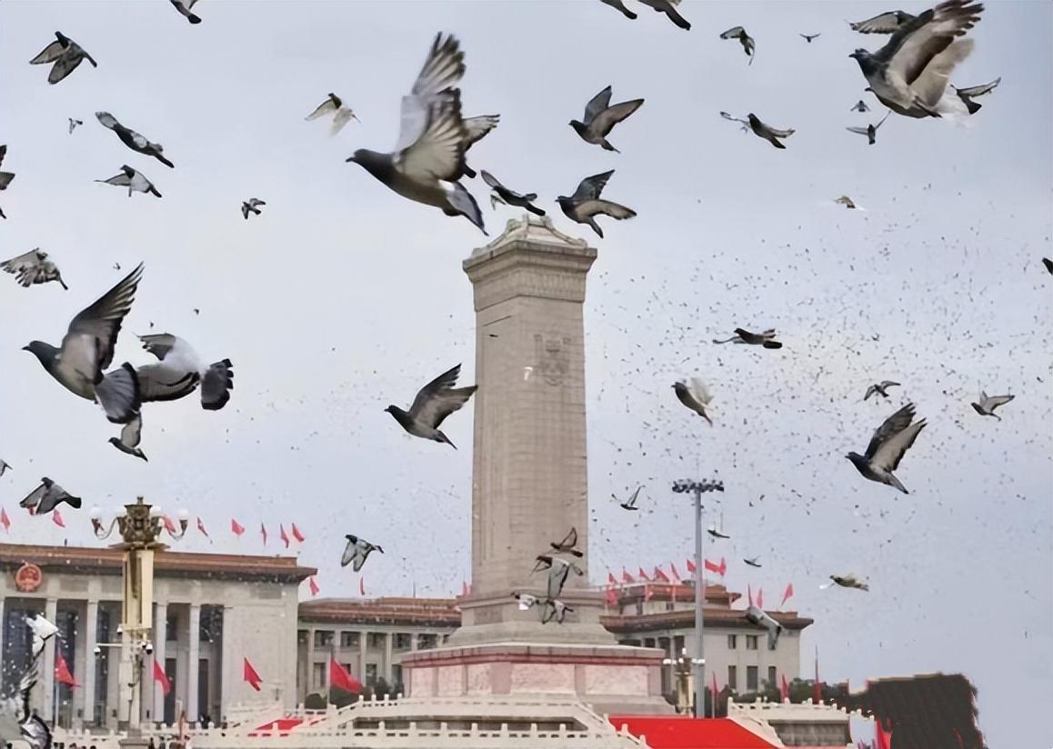 中俄绝非唇亡齿寒，历史早已给出答案！不少人爱用唇亡齿寒形容中俄，可翻看两国