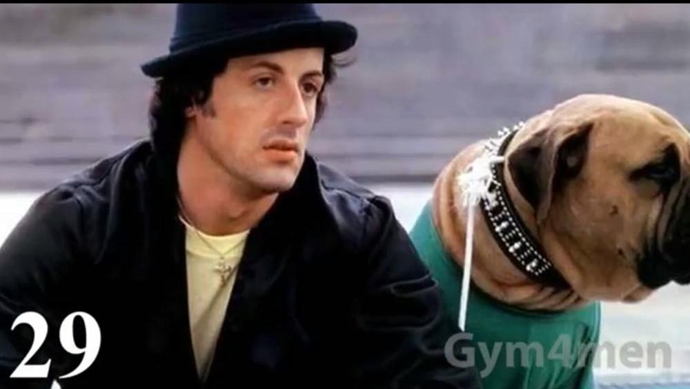 史泰龙经典电影《最后的刺客》(流畅)_土豆视