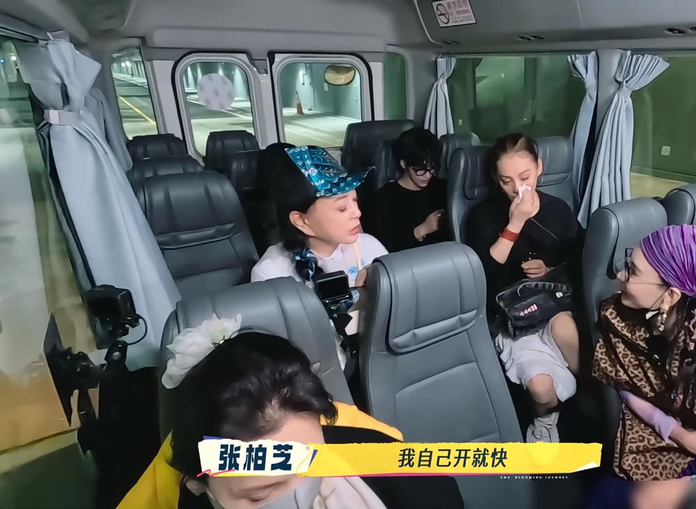 张柏芝，“我开车很快，我可以开计程车，比那些的士司机都熟悉路。”宁静，“我看